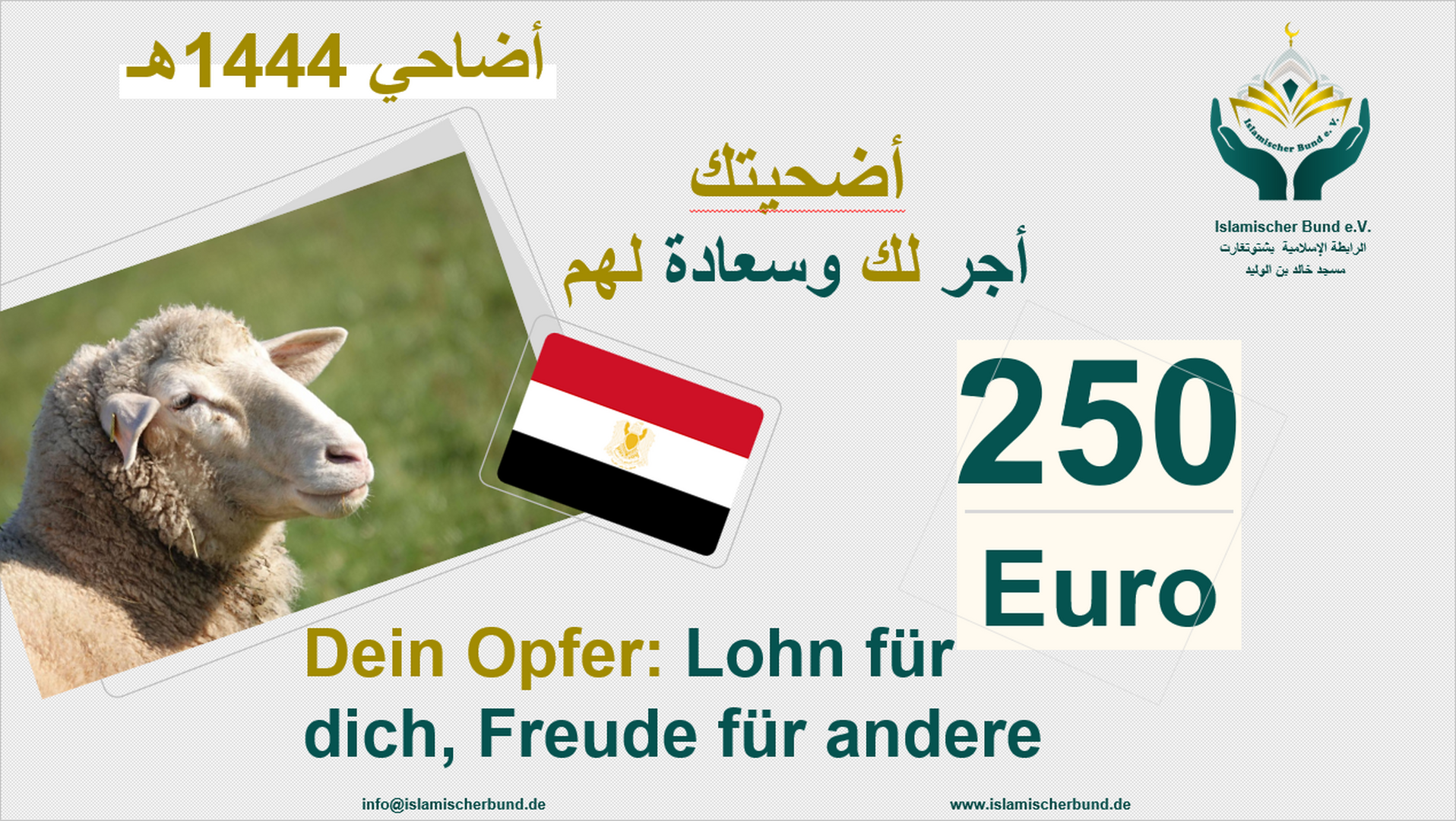 اعلان هام