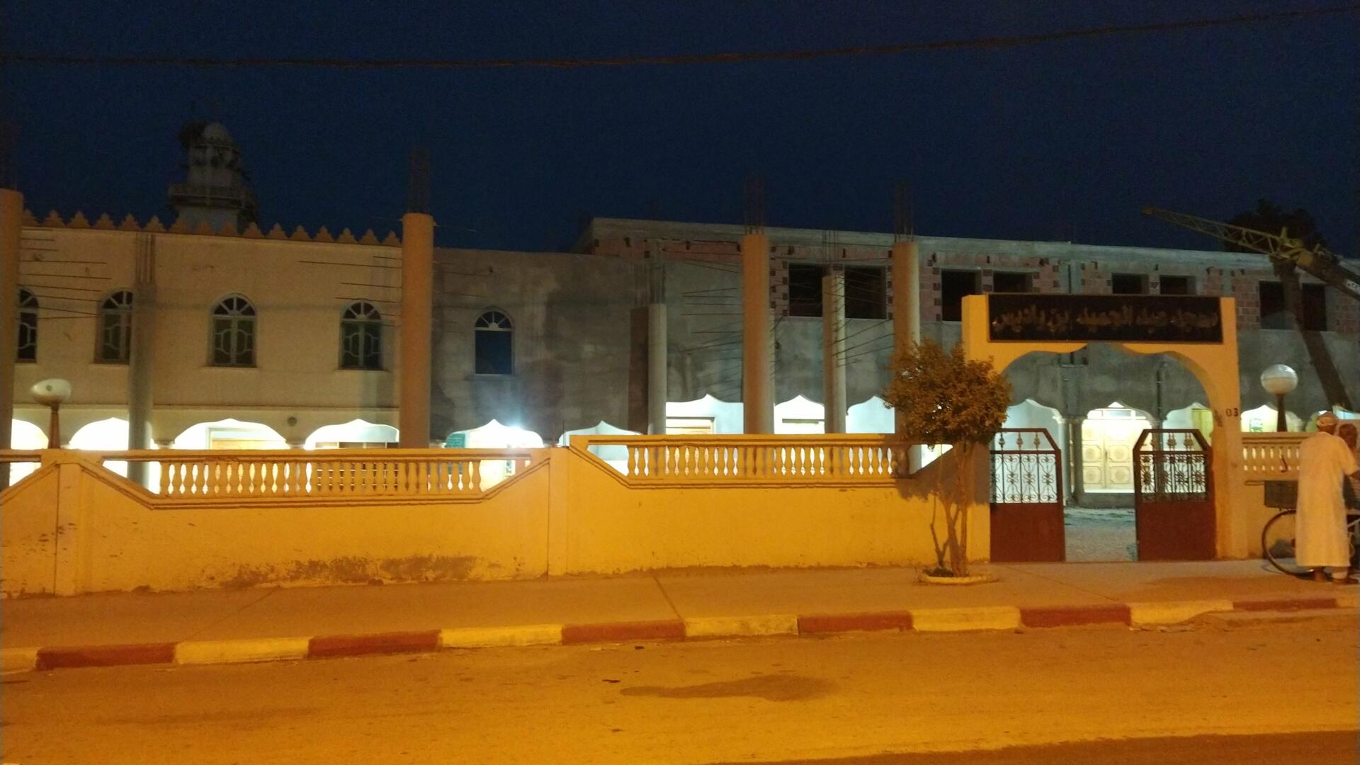 عبد الحميد بن باديس