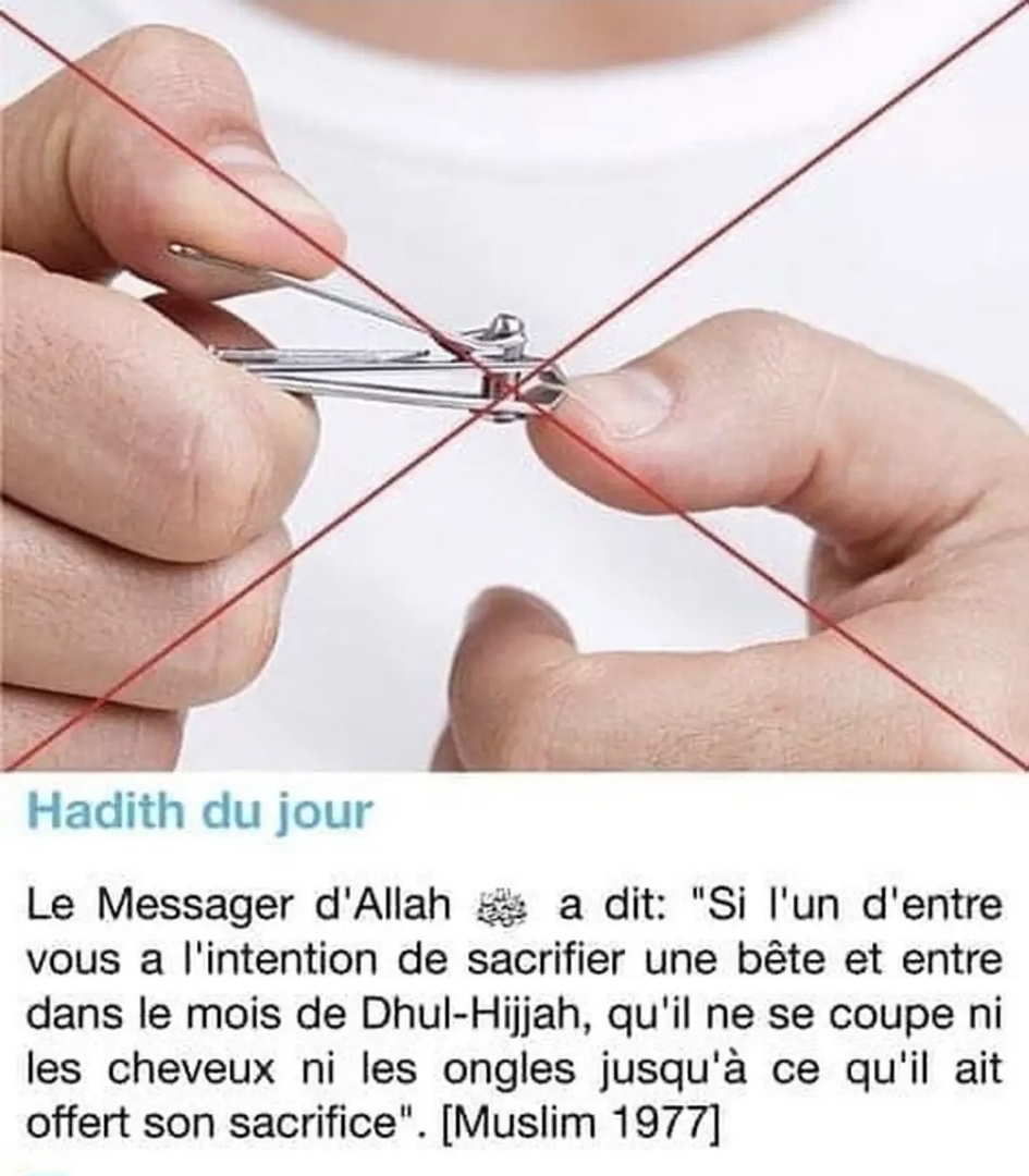 Sunnah Aid