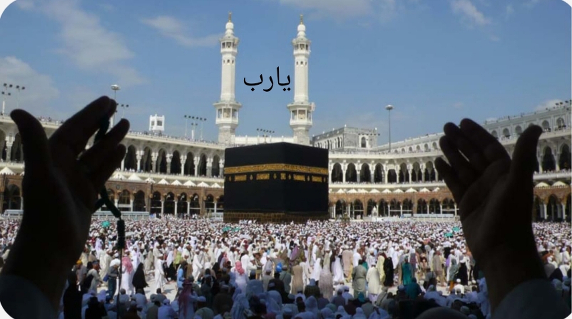 يارب
