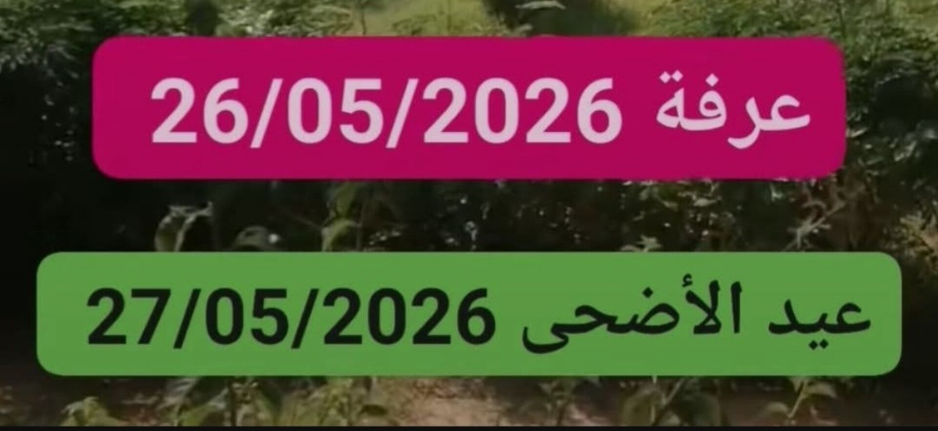 بِسْمِ اللَّهِ الرَّحْمَنِ الرَّحِيمِ