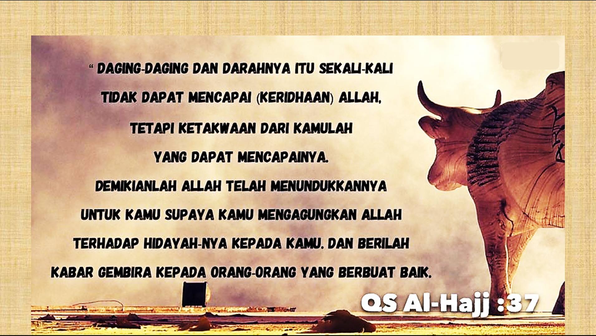Adha 03
