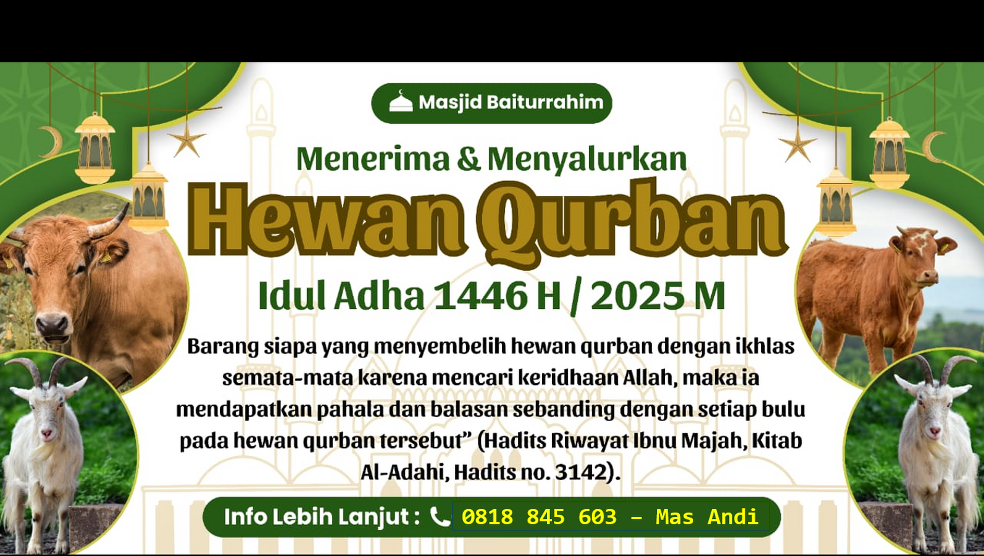 Adha 06