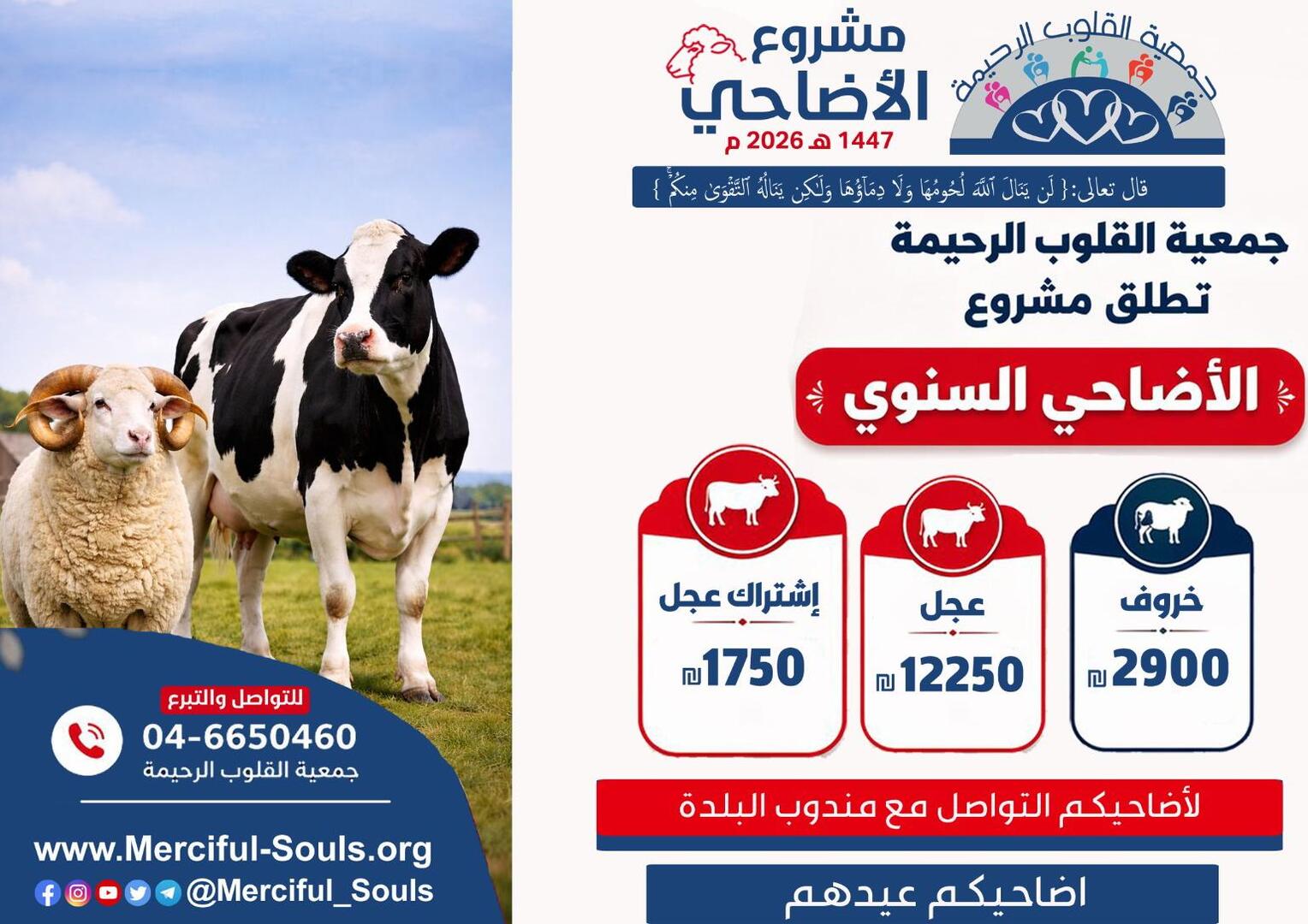 دوره تأهيل الزواج