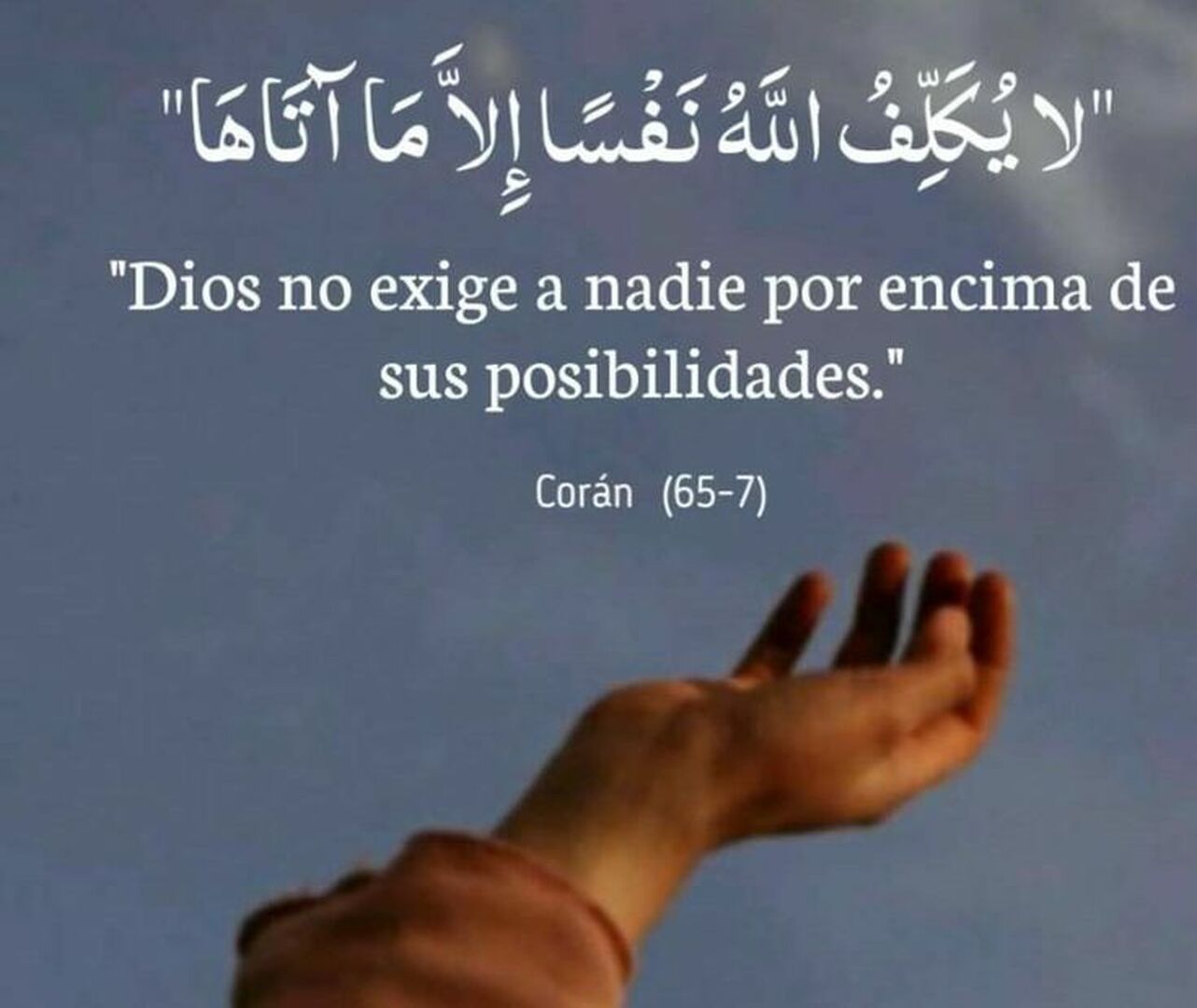 Publicacion