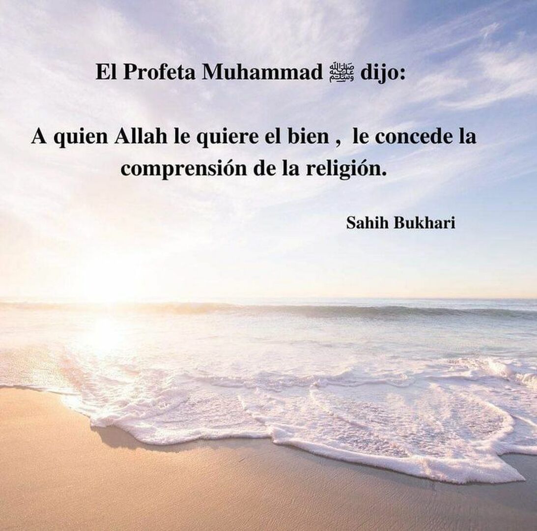 publicacion