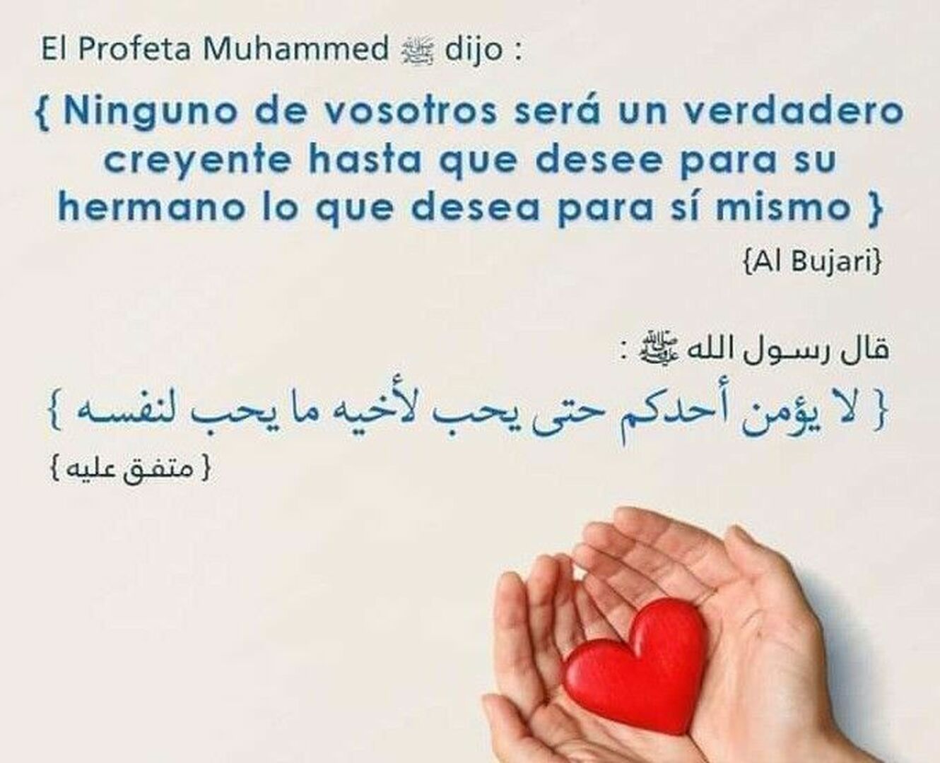 publicacion