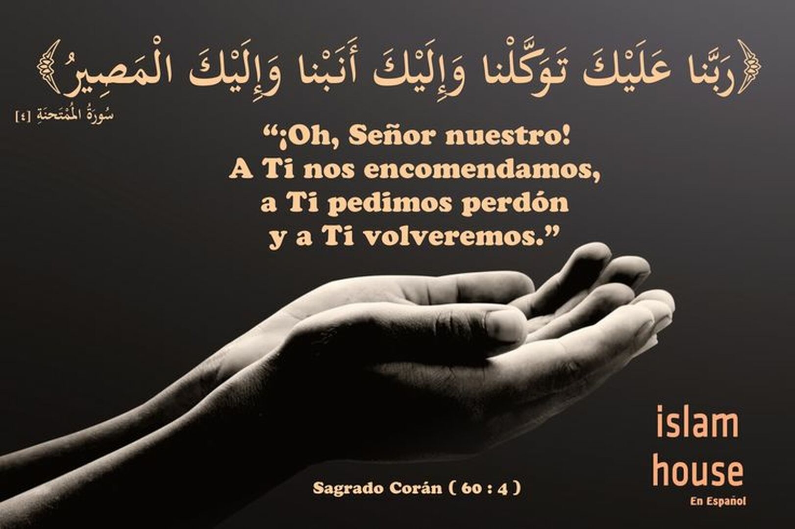 publicacion