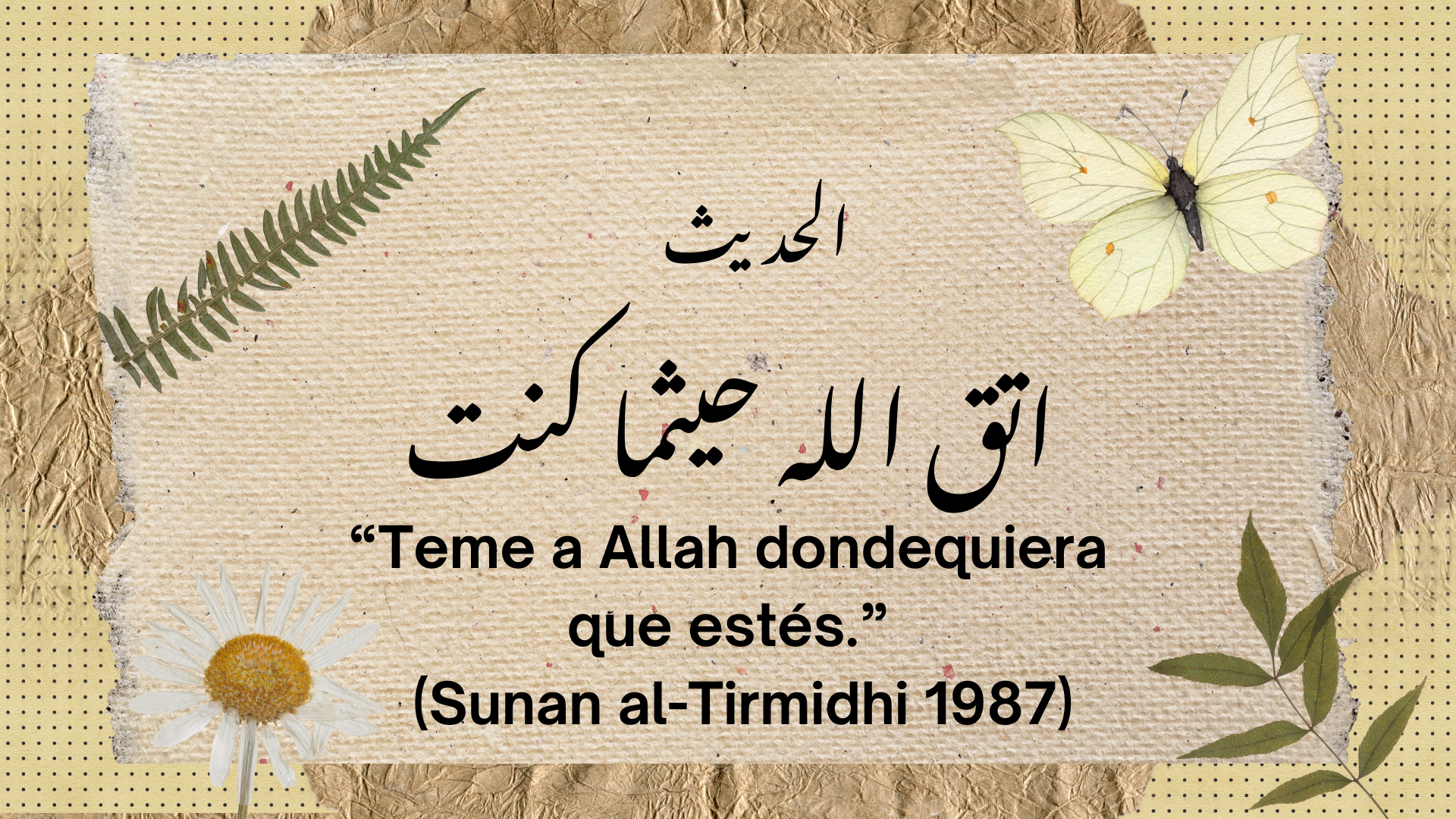 publicacion