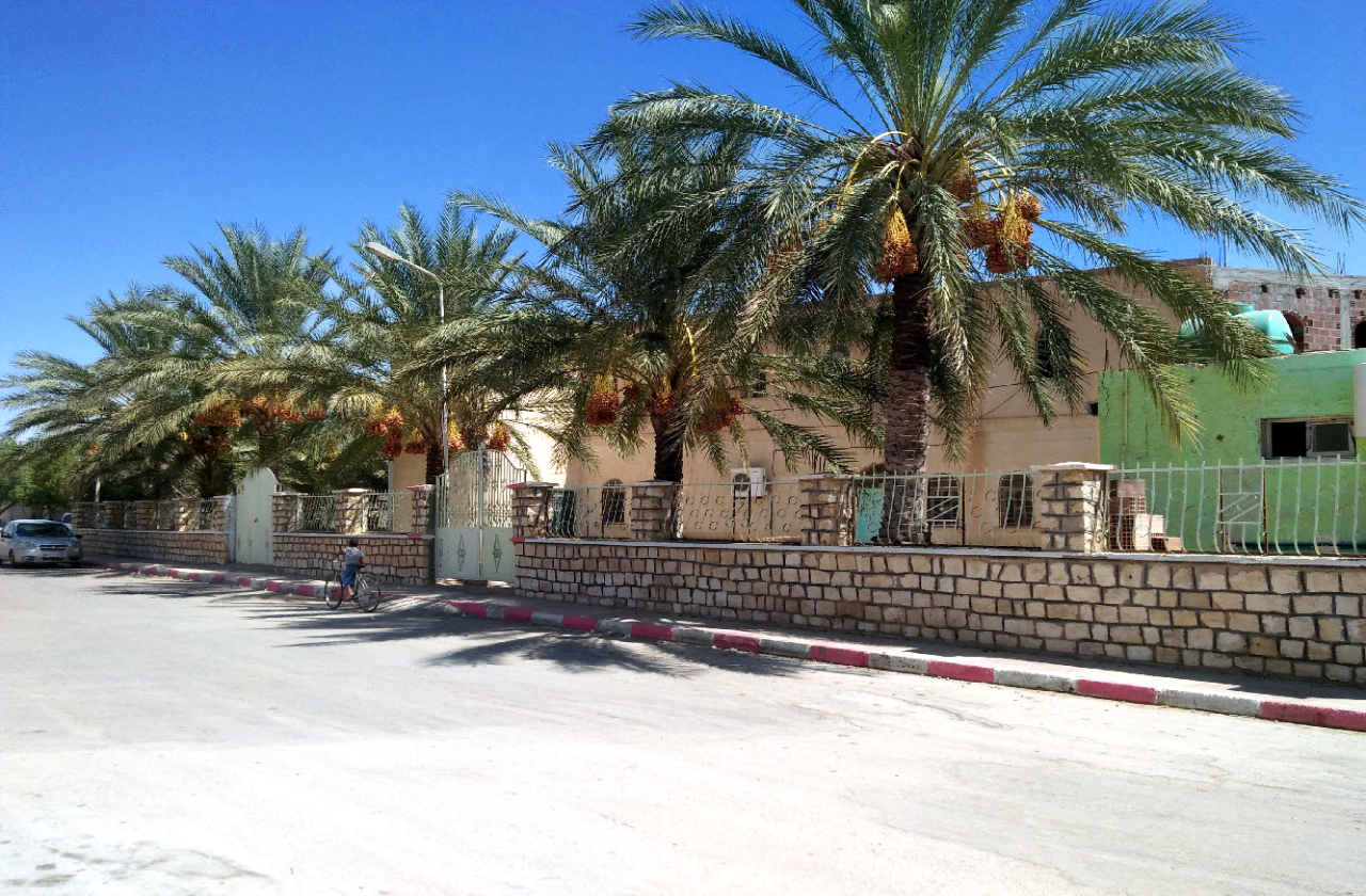 مسجد عقبة بن نافع - بوشقرون