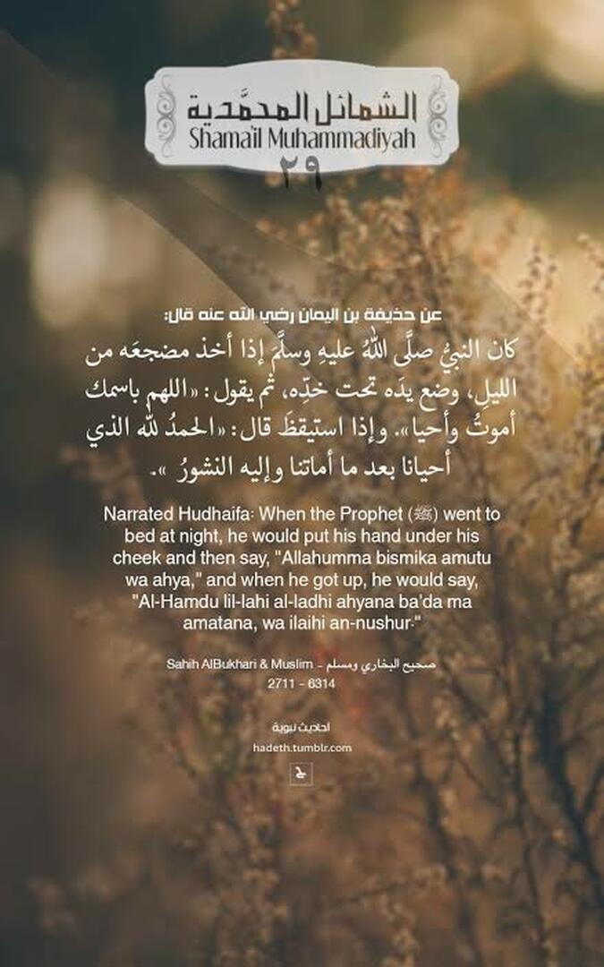 احاديث نبوية