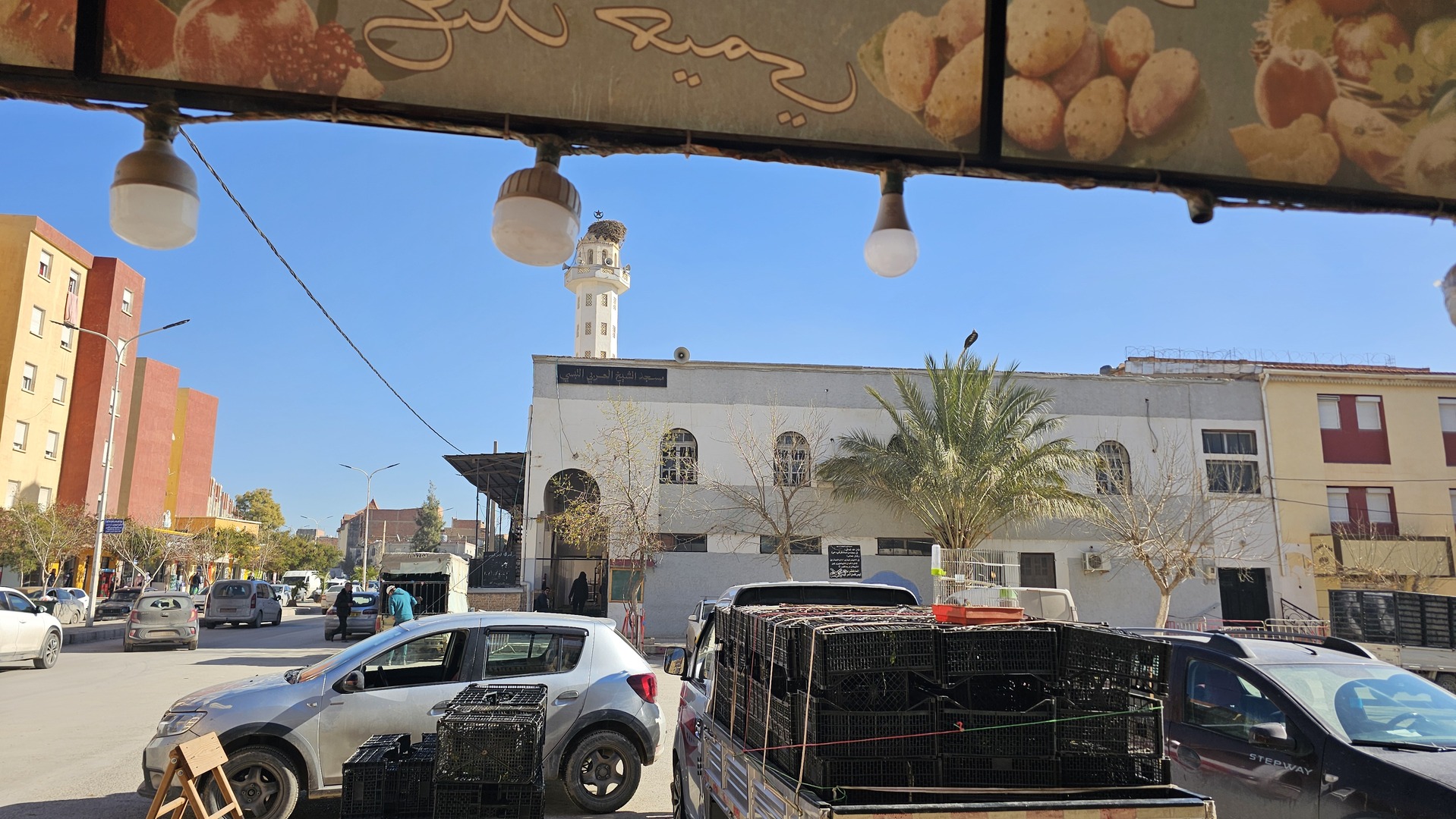 مسجد العربي التبسي بارك فوراج