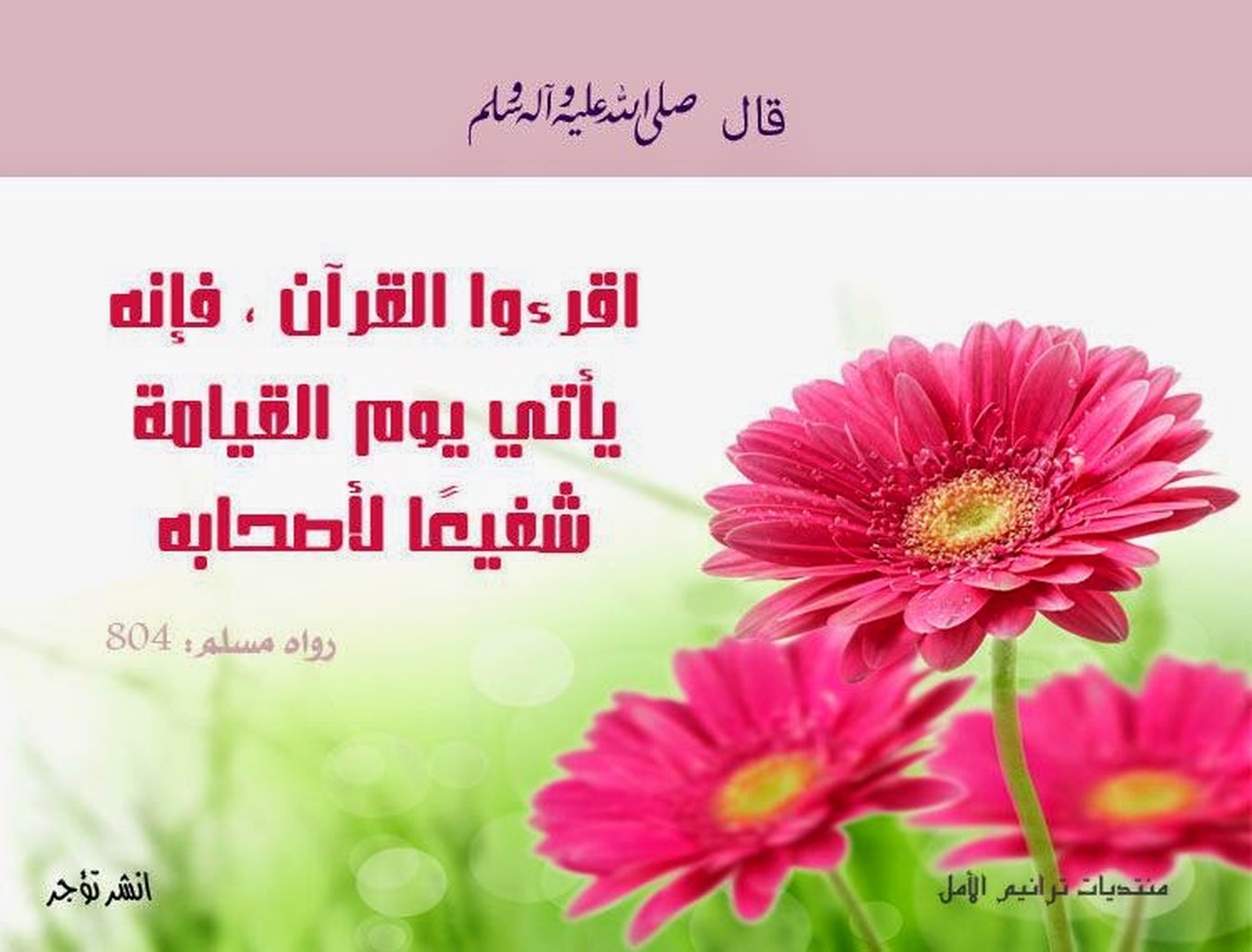 احديث نبوية