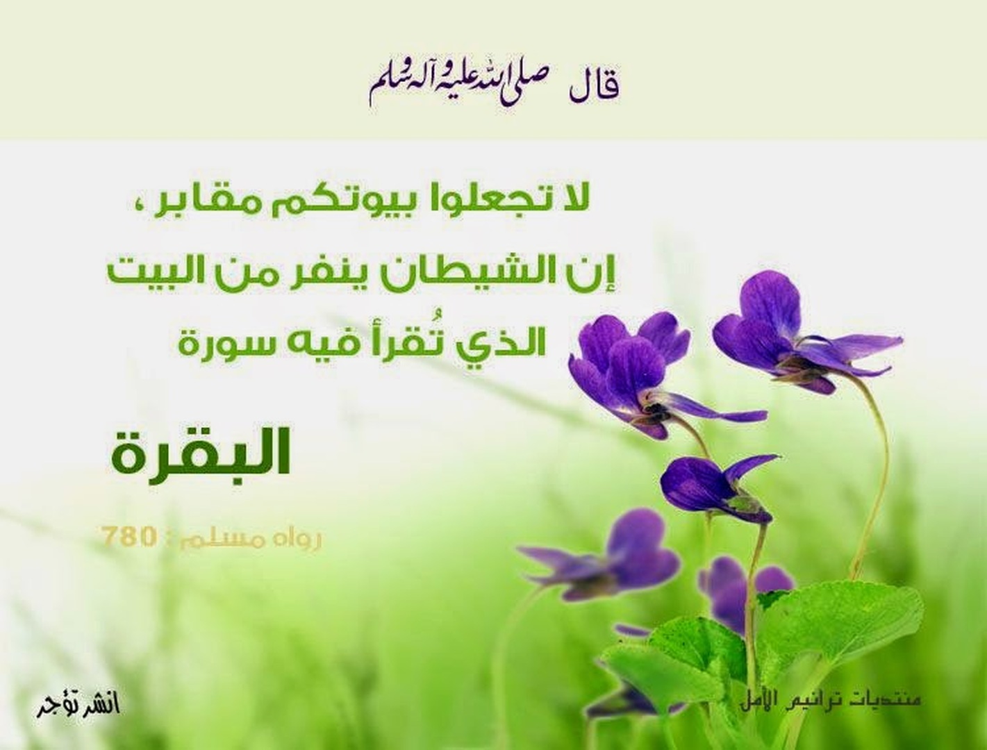 احديث نبوية
