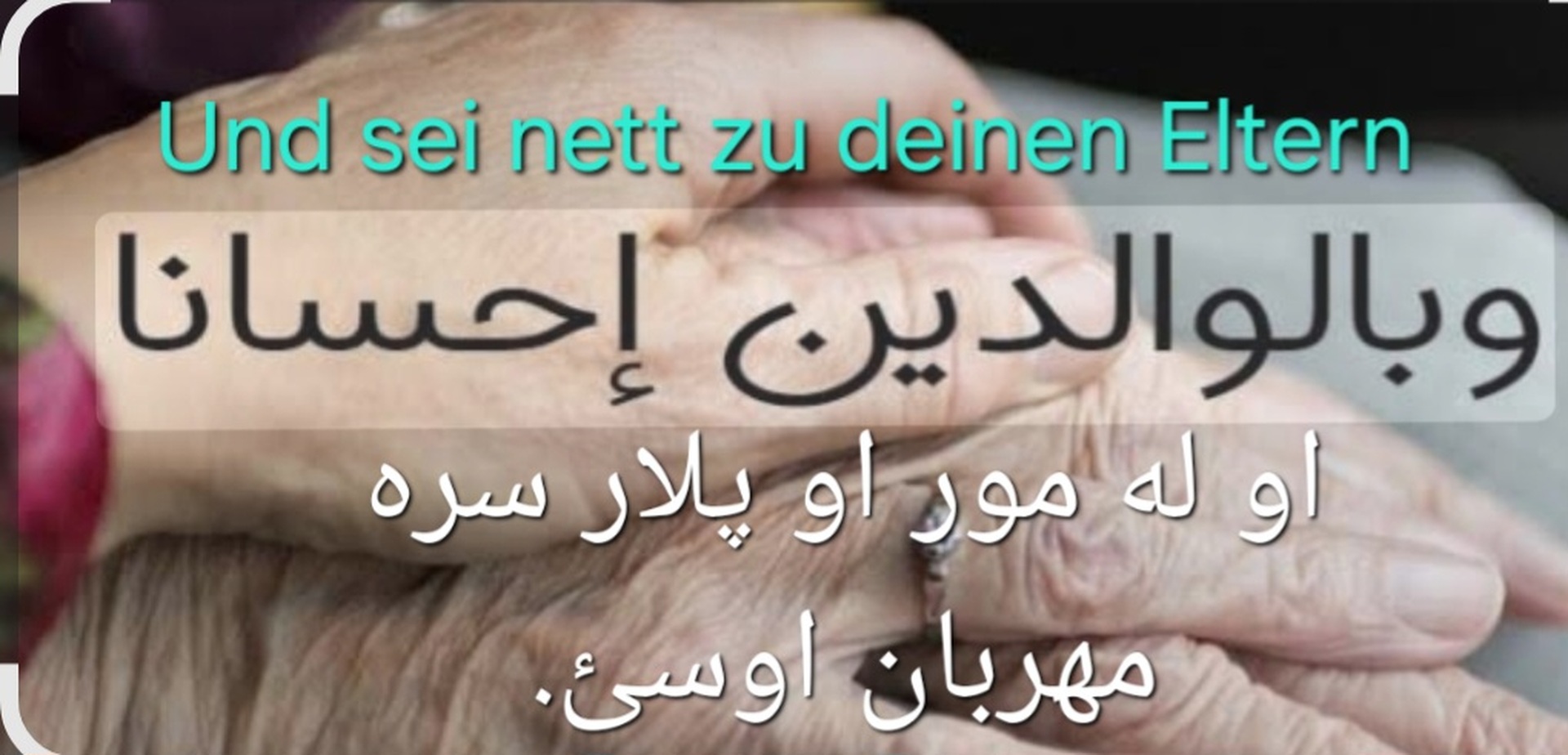 Eltern