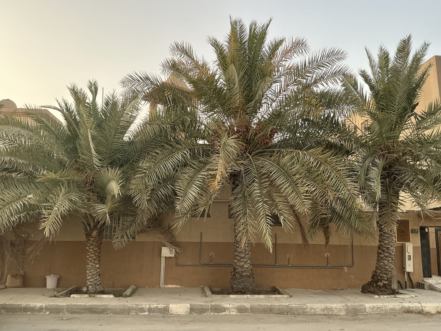 مسجد جابر بن عبدالله