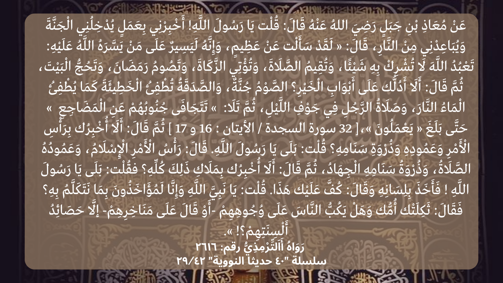 سلسلة "٤٠ حديثا النووية ٢٩/٤٢