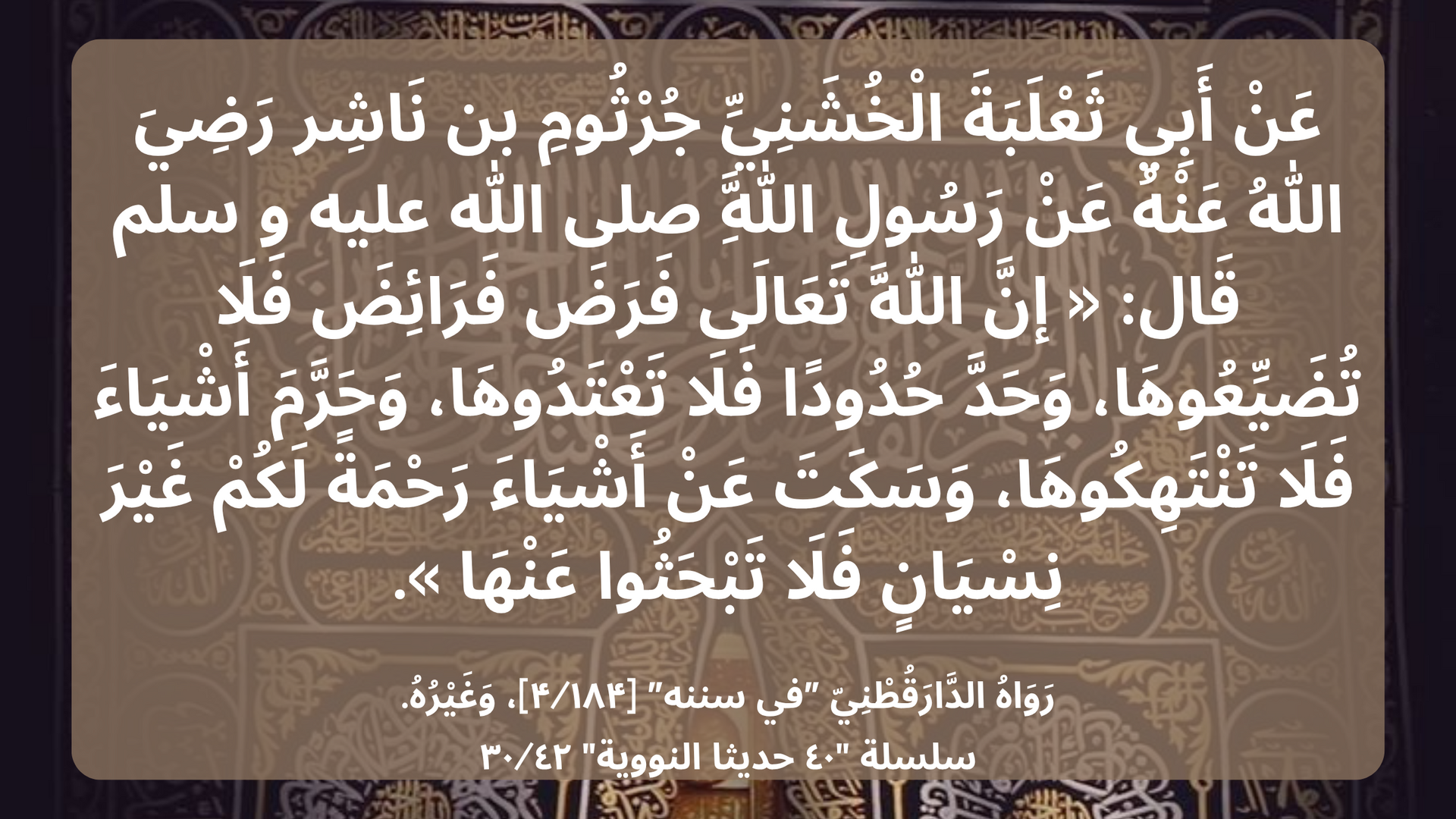 سلسلة "٤٠ حديثا النووية ٣٠/٤٢