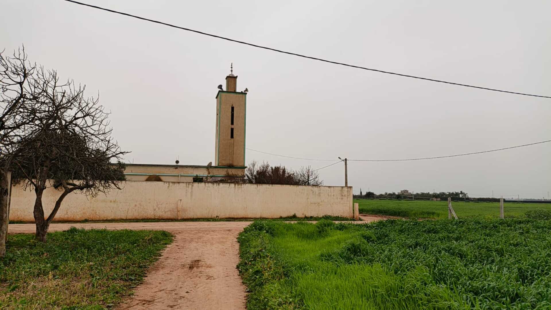 مسجد أولاد فايدة  -  أولاد صباح