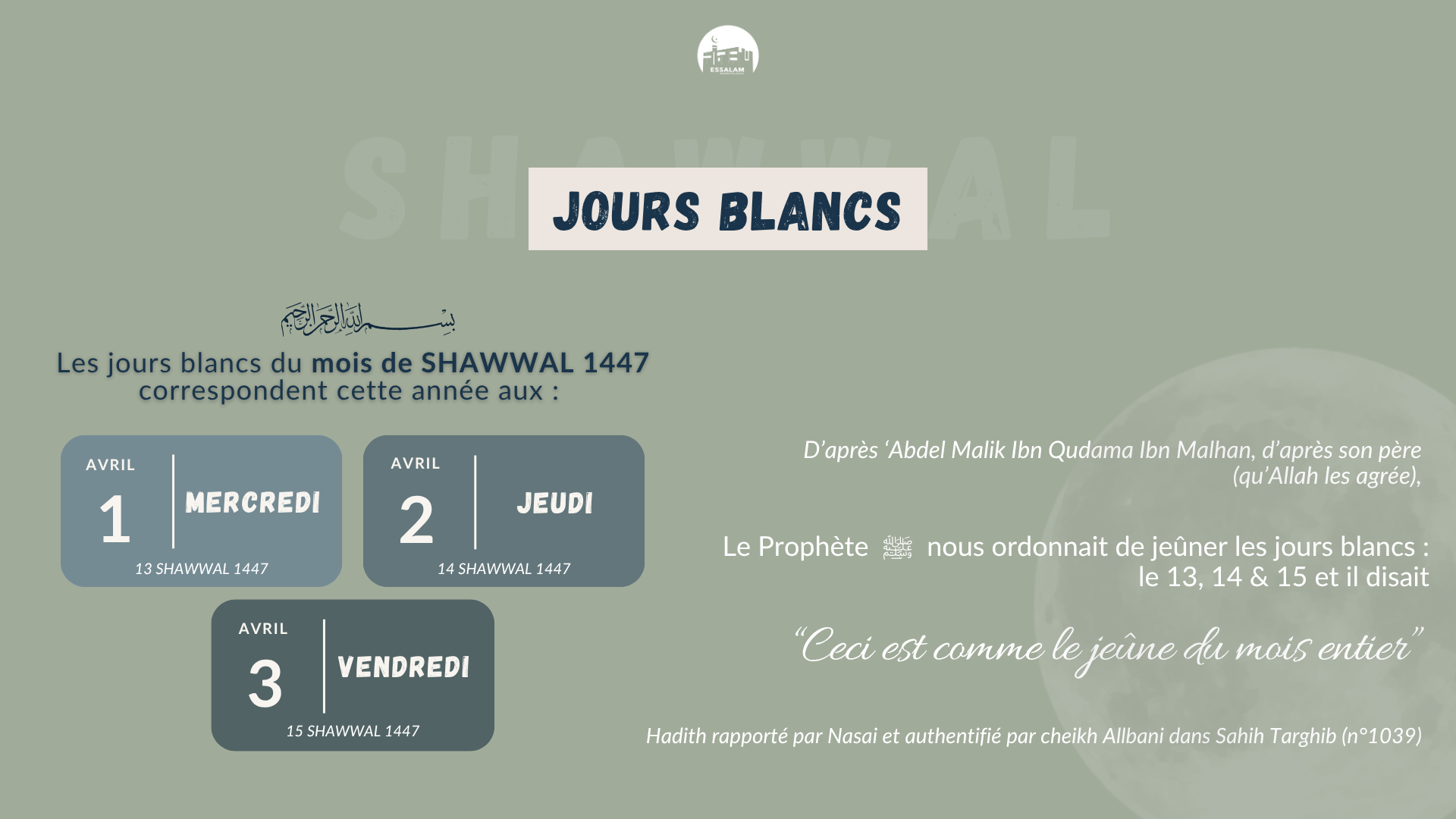 Jours blancs SHAWWAL