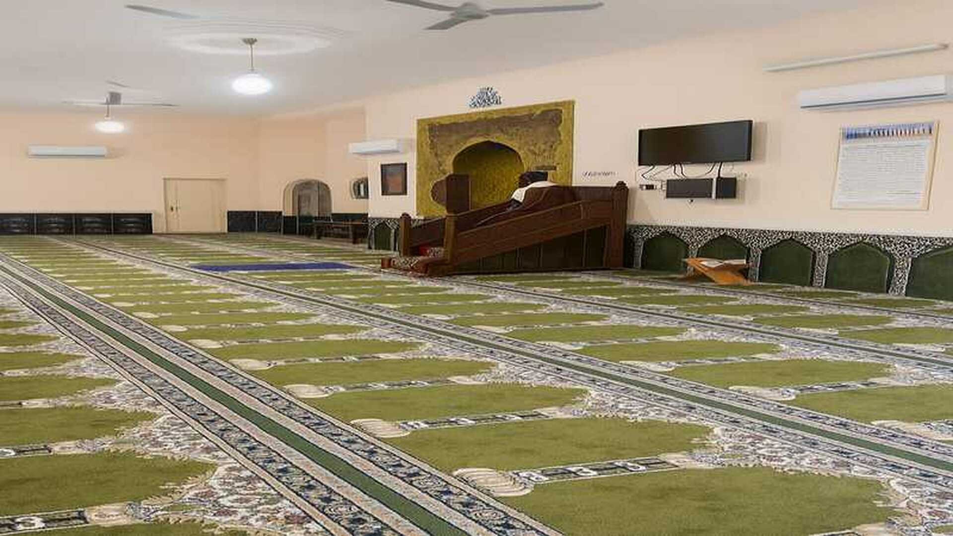 جامع الانصار