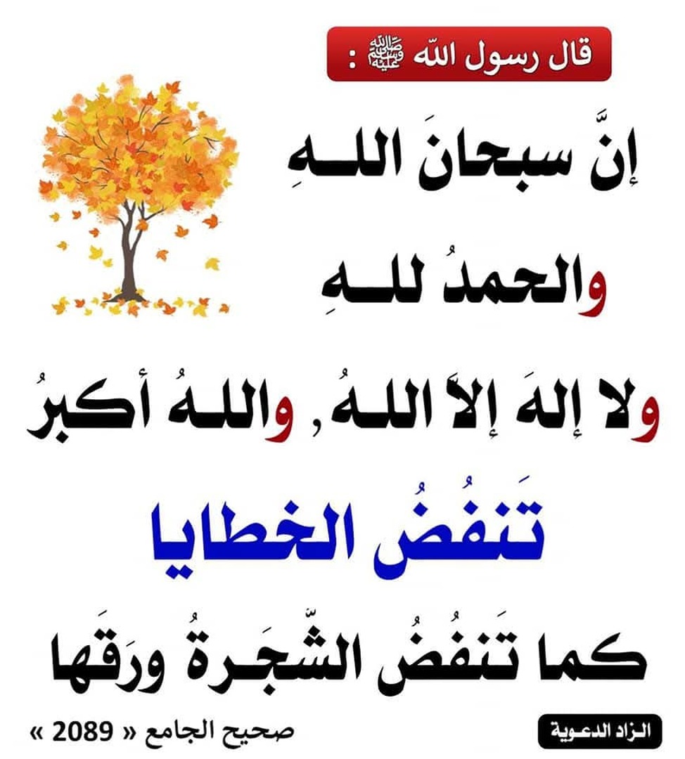 أحاديث