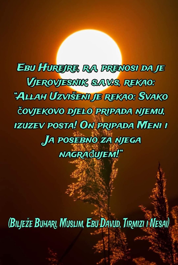 Hadis