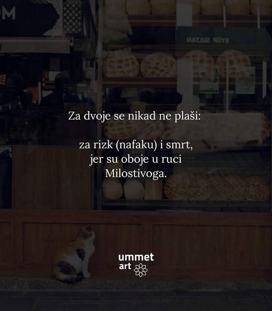 Texte