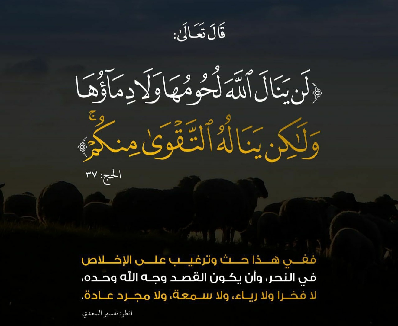الأضحية