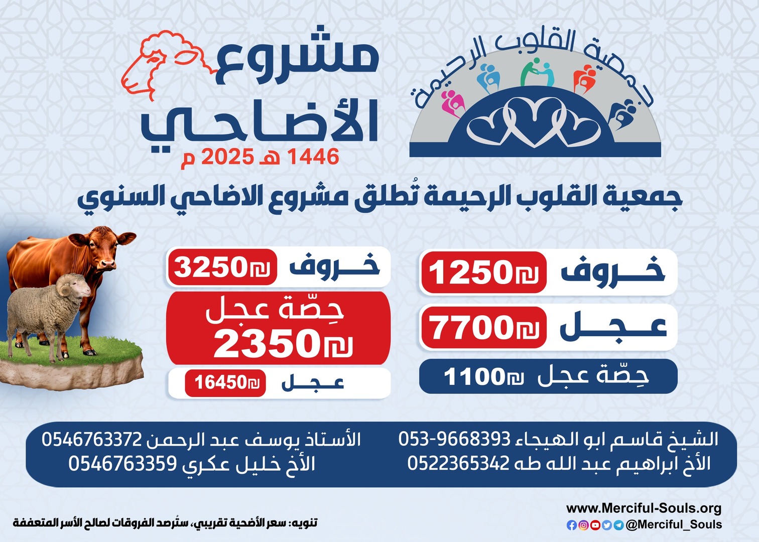 الاضاحي