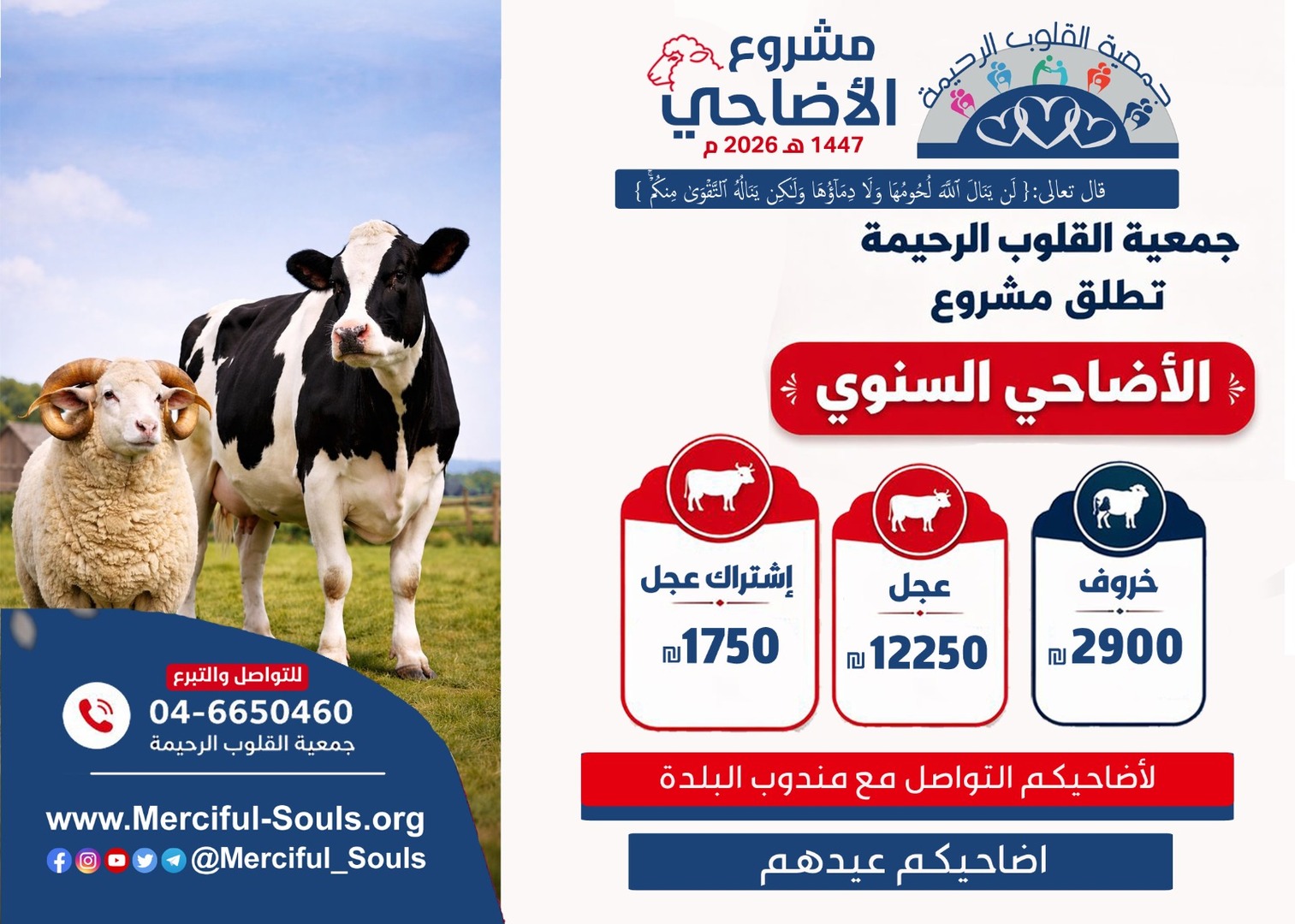 مشروع الأضاحي