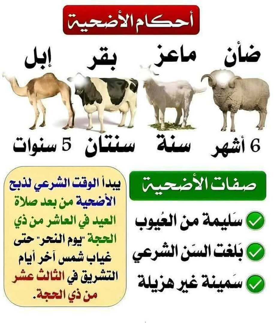 نفحات