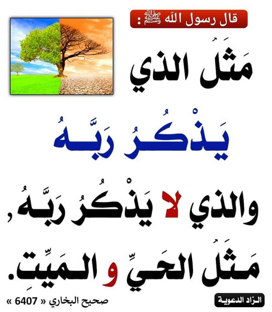 نفحات قرآنية