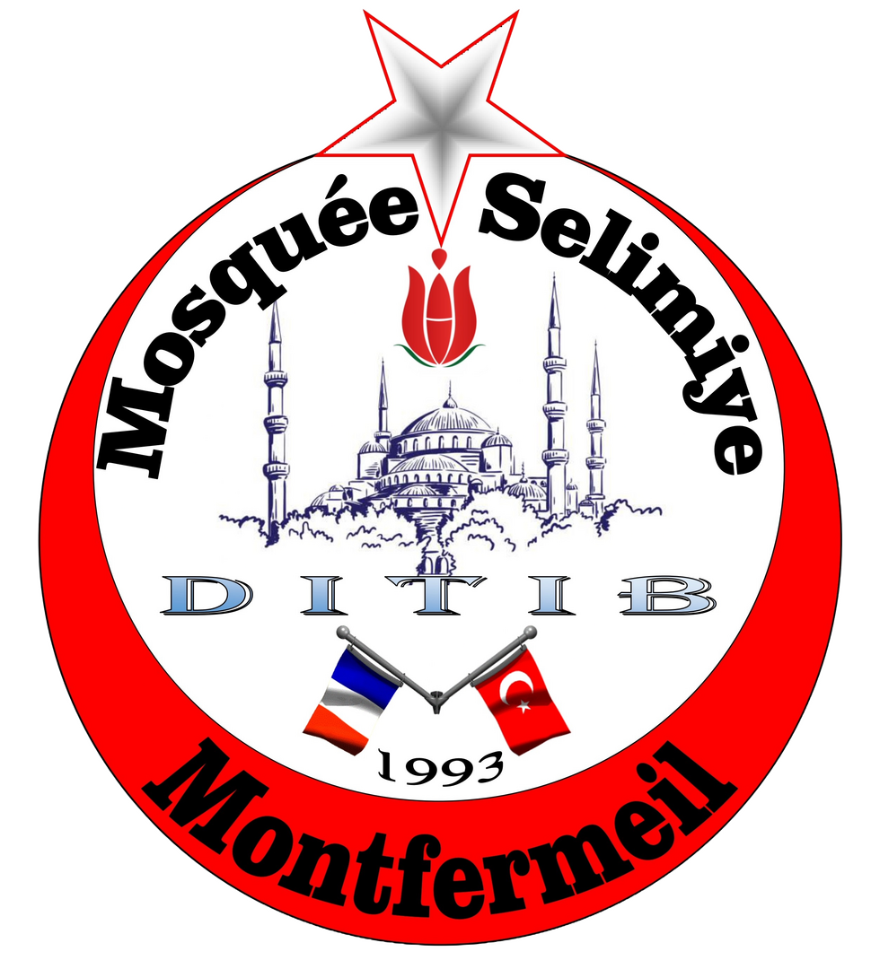 LOGO CAMI