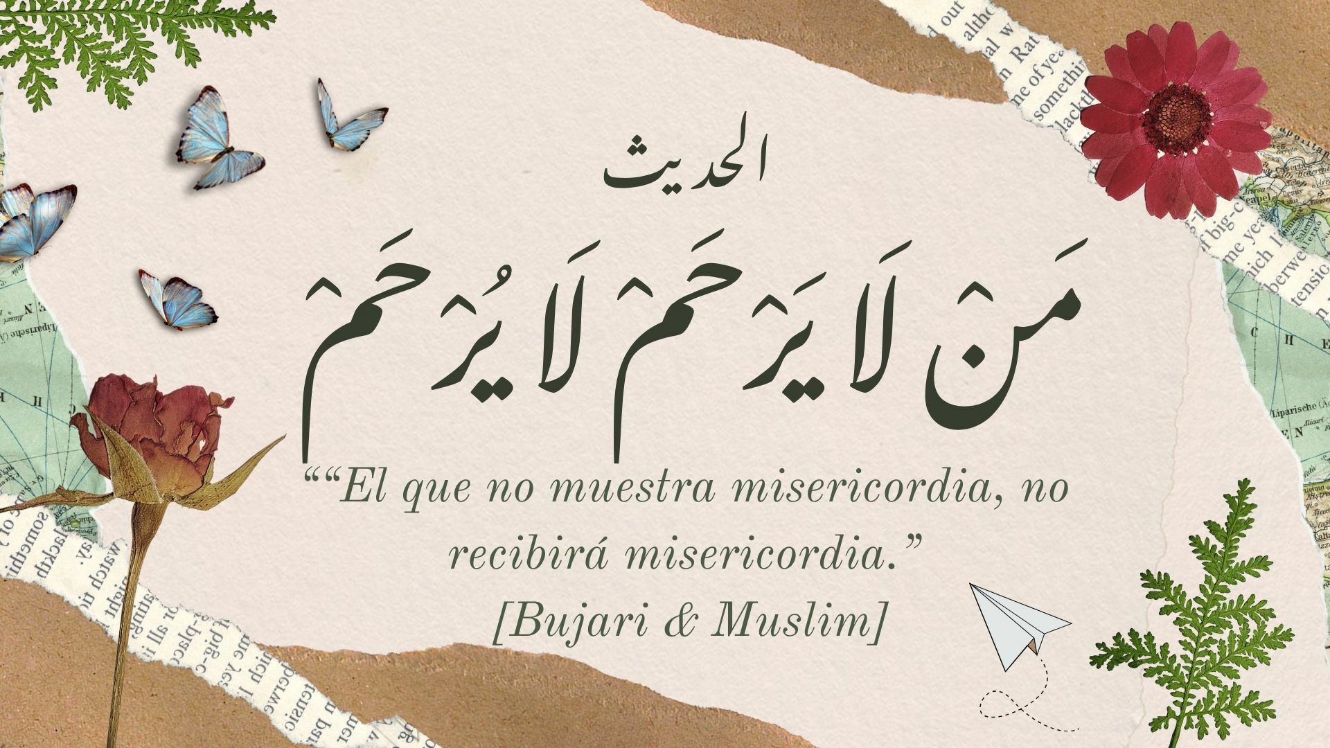 Publicacion