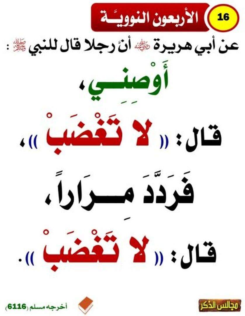 الأربعون النووية