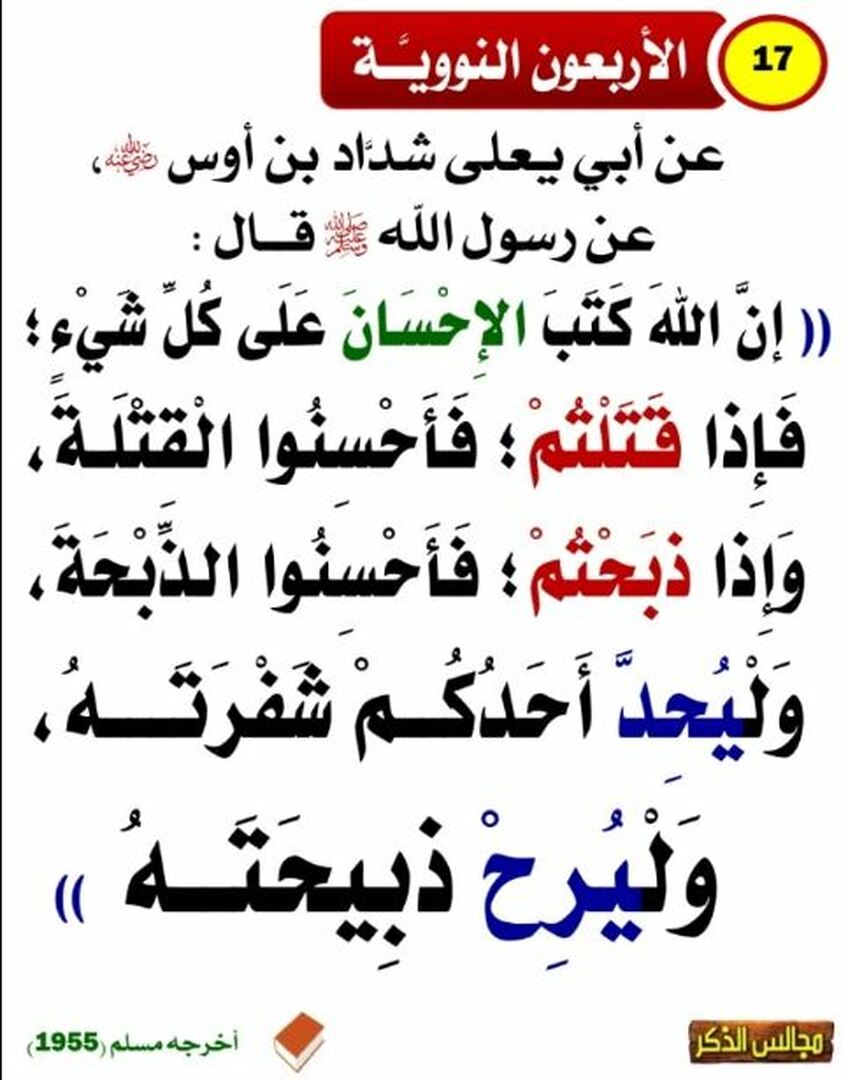 الأربعون النووية