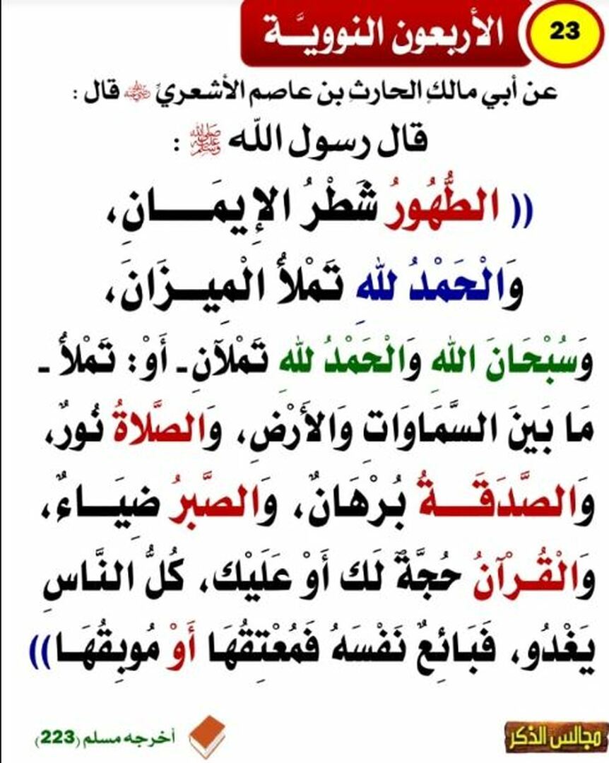 الأربعون النووية