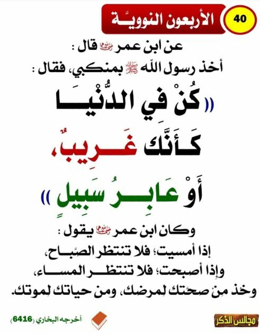 الأربعون النووية