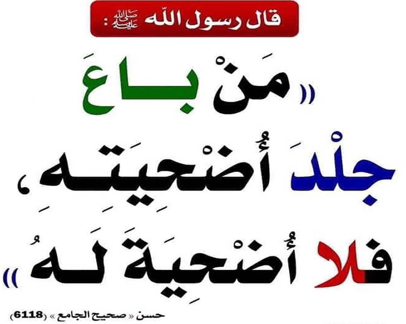 من باع جلد أضحيته فلا أضحية له