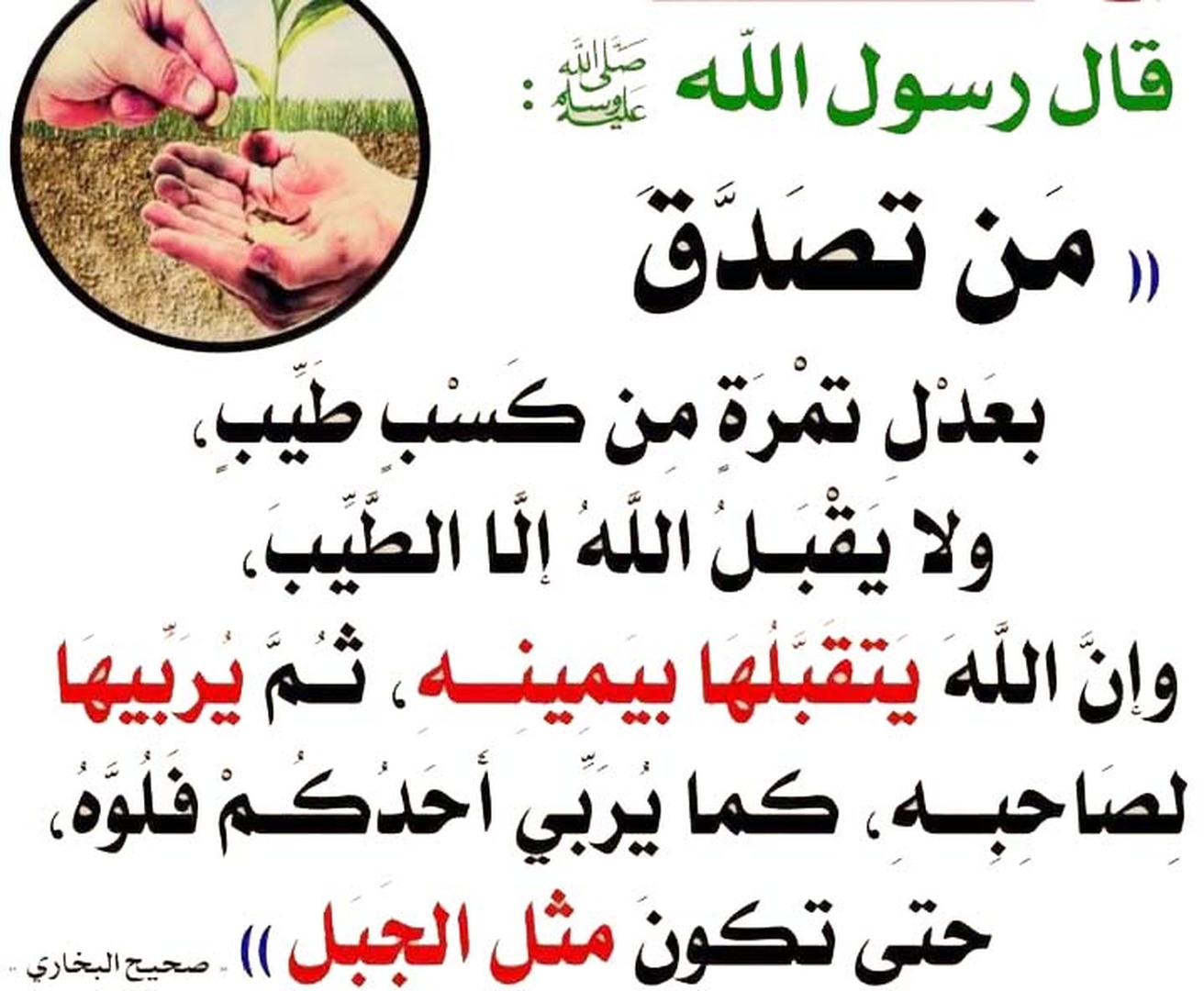 التّرغيب في الصّدقات وإن كانت بأقلّ القل