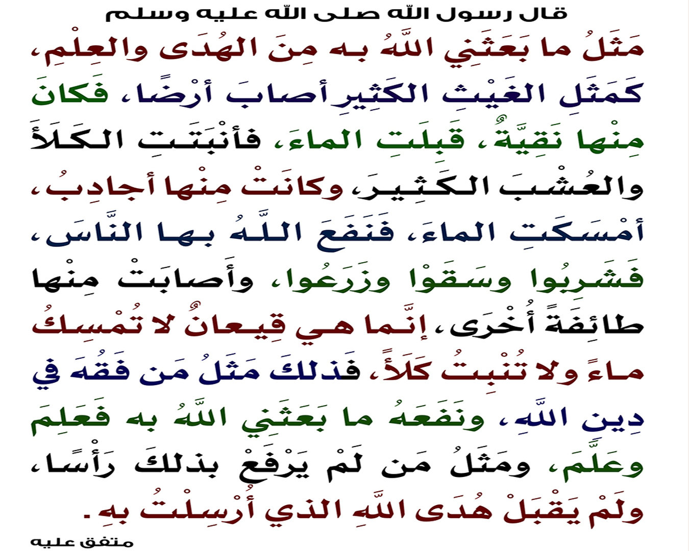 فضْلُ مَن عَلِمَ وعَمِلَ وعلَّم