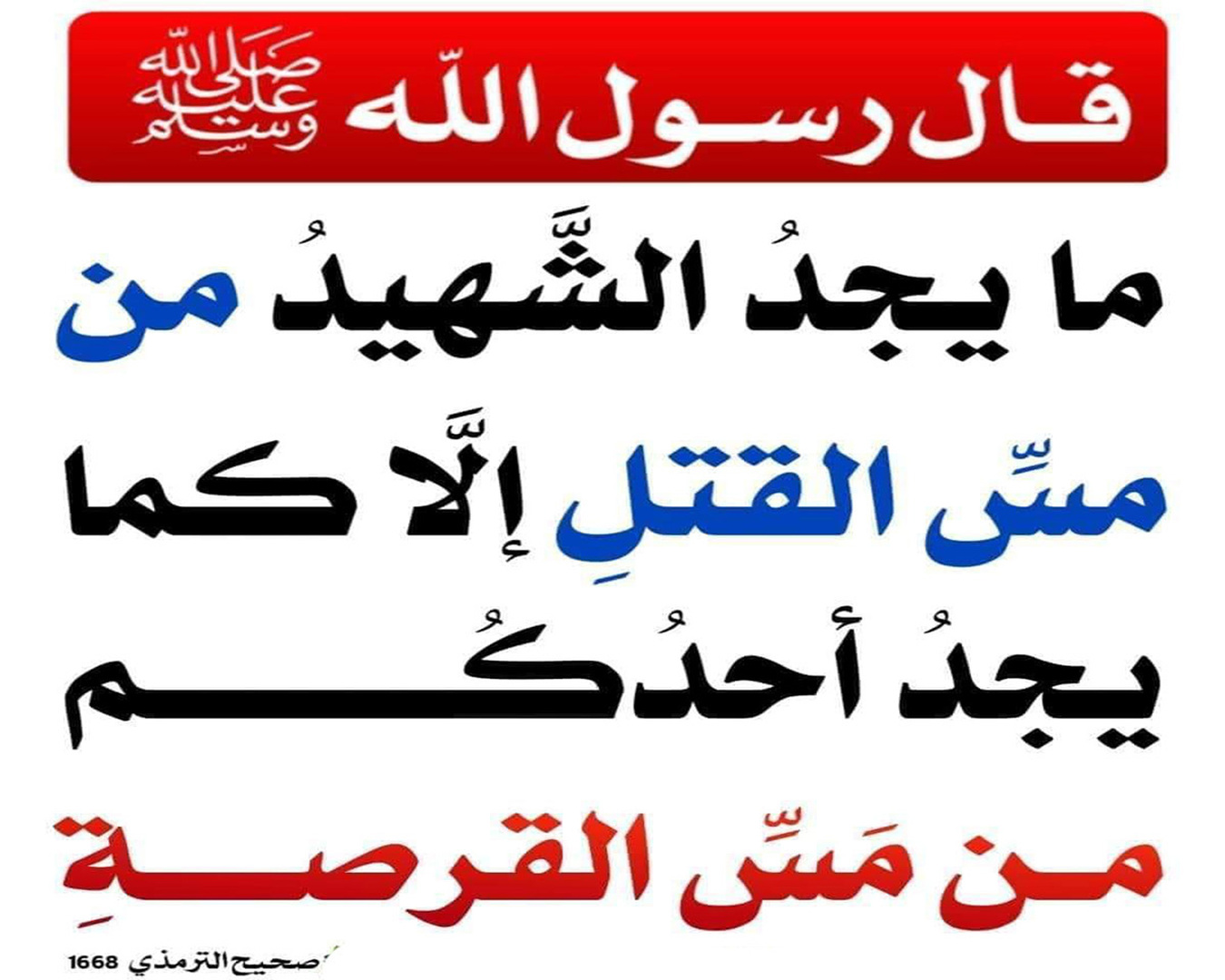 بيان قدر الشّهيد وعظم منزلته في الإسلام