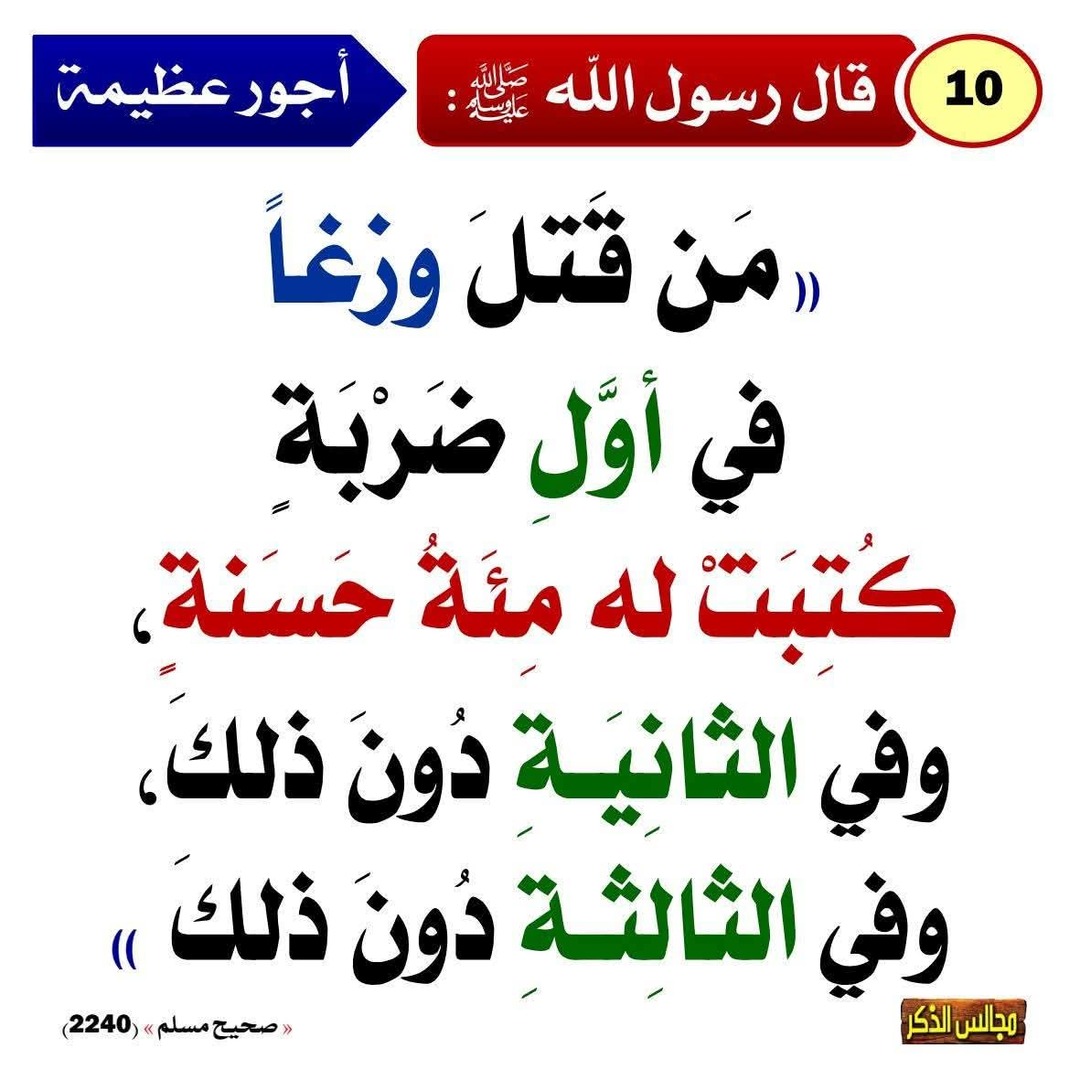 قال عليه الصلاة والسلام