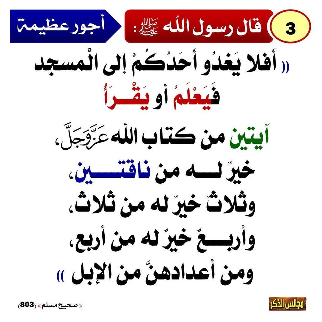 قال عليه الصلاة والسلام