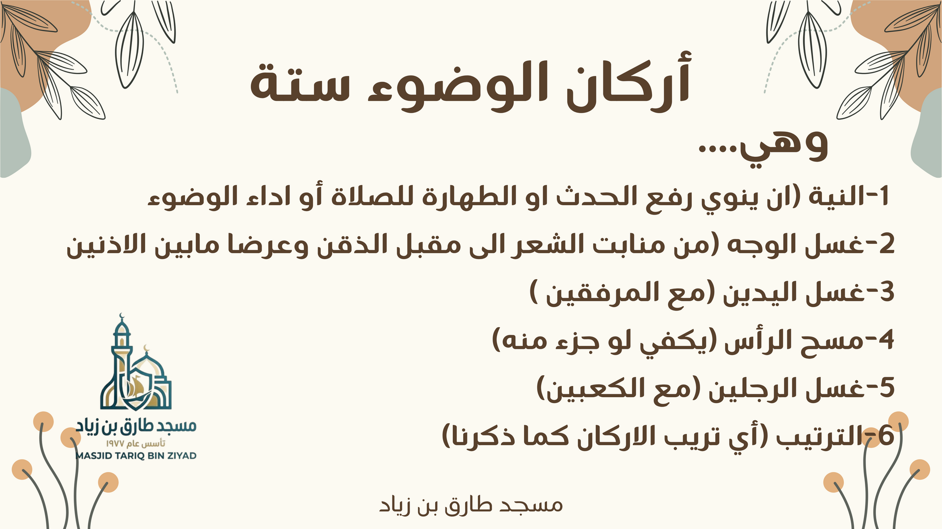 Alfeqh