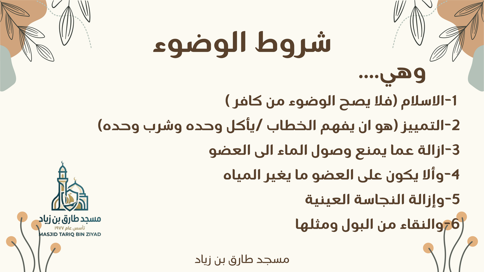 Alfeqh