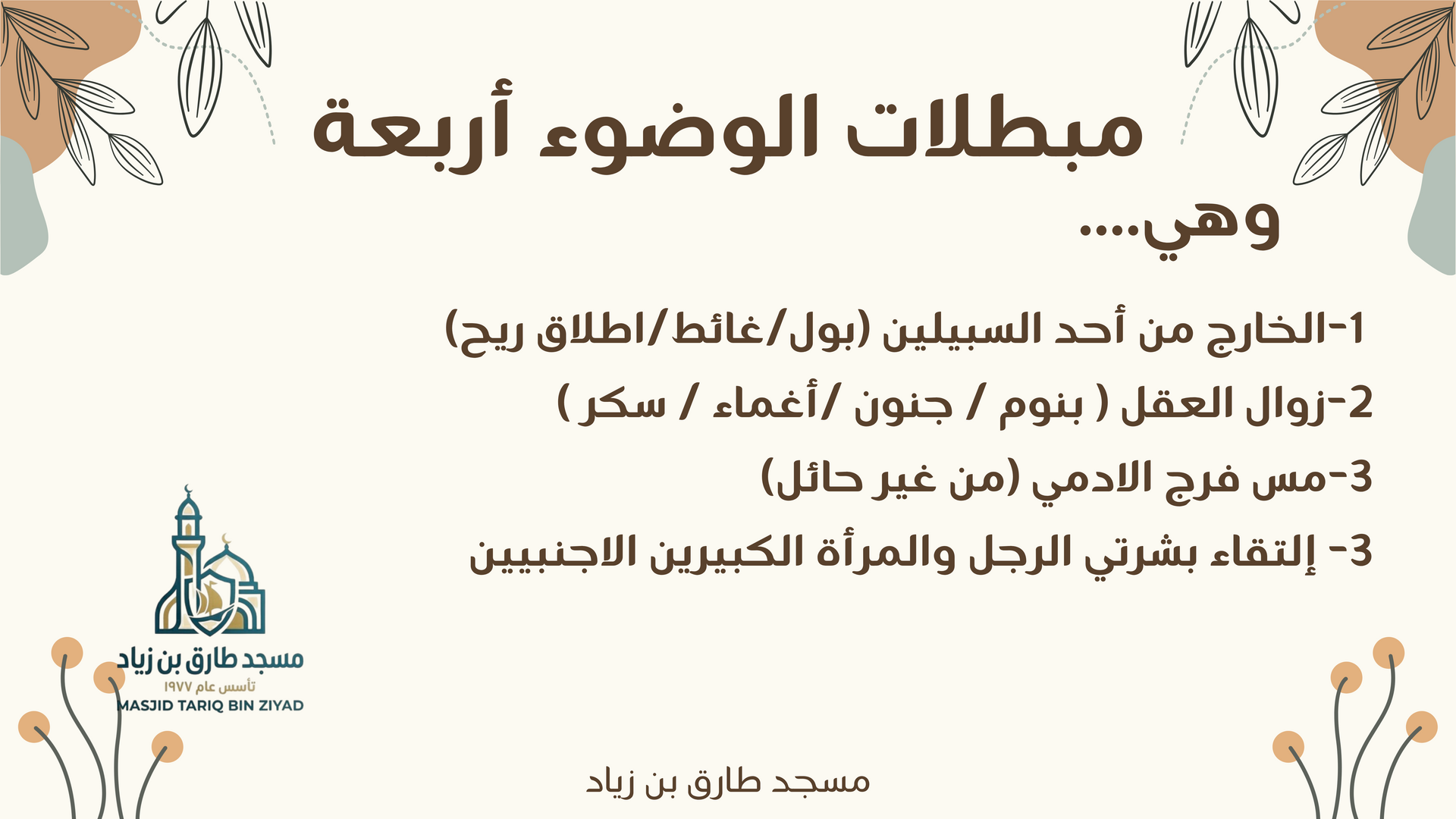 Alfeqh