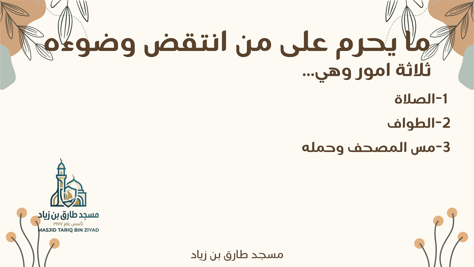 Alfeqh