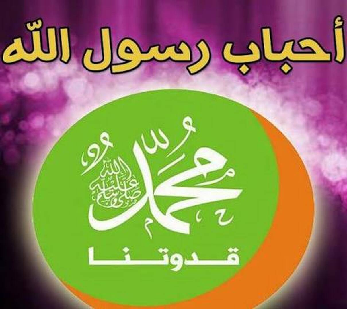 بمناسبة المولد
